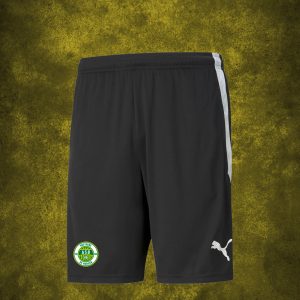 Short training TeamLiga ASB  – 25/26