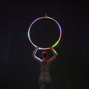 Cerceau aérien lumineux Echo LED 1Point 90cm